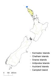 Veronica adamsii distribution map based on databased records at AK, CHR & WELT.
 Image: K.Boardman © Landcare Research 2022 CC-BY 4.0